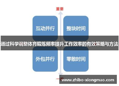 通过科学调整体育锻炼频率提升工作效率的有效策略与方法